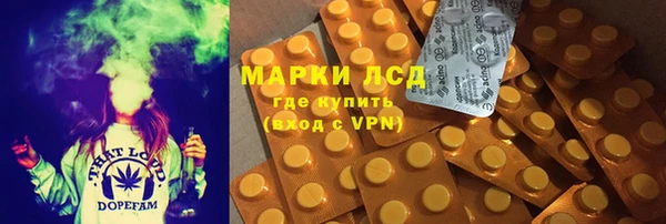 индика Киселёвск
