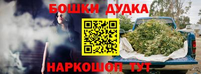 крисы Тверь