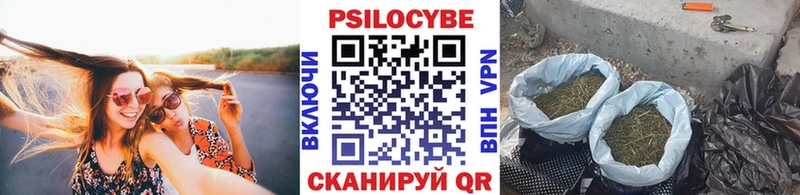 Галлюциногенные грибы Psilocybe  как найти закладки  Моршанск 