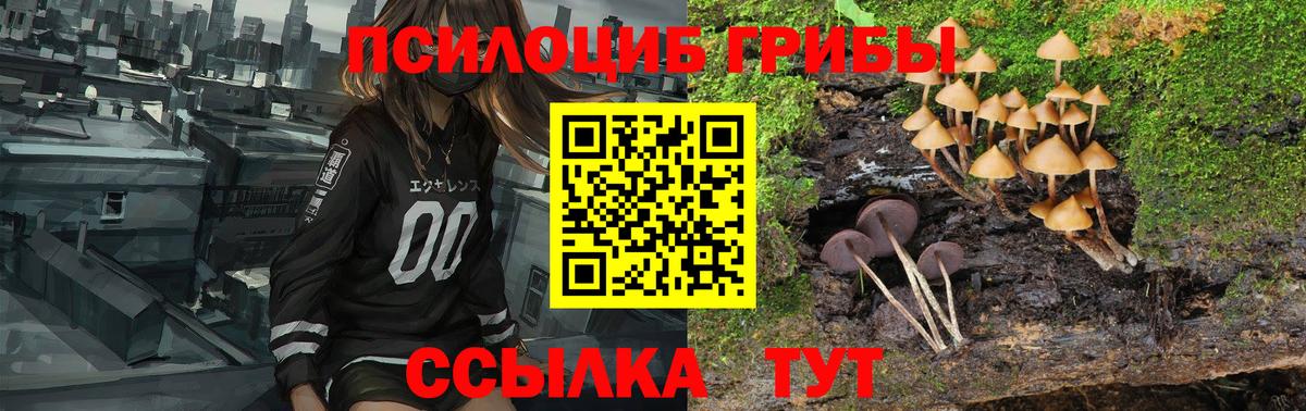 Моршанск  Галлюциногенные грибы Psilocybe  Вход с VPN  Галлюциногенные грибы GOLDEN TEACHER 