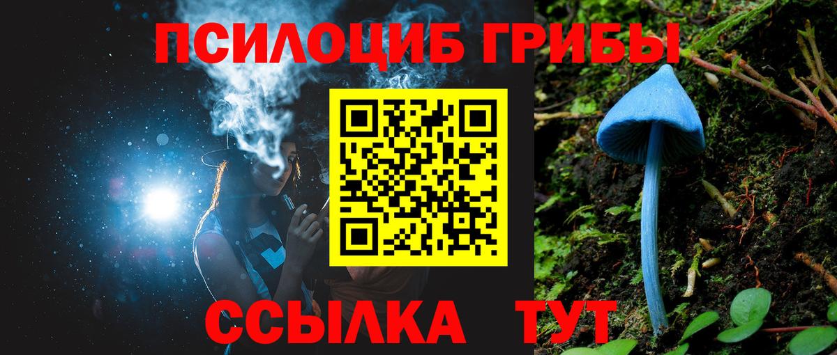 Галлюциногенные грибы MAGIC MUSHROOMS Моршанск