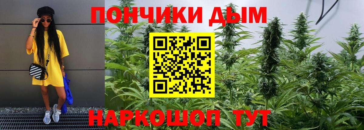 Шишки марихуана White Widow  Конопля White Widow  Моршанск  Канабис план  Вход с VPN 