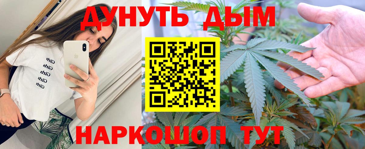 Марихуана конопля  Бошки Шишки OG Kush  Моршанск 